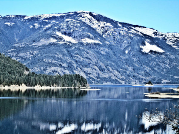 1093 Strathcona Park Jigsaw Puzzle