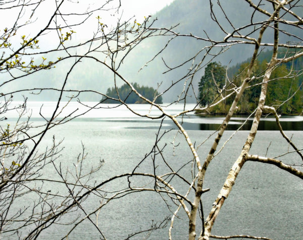 1145 Head Bay Road Jigsaw Puzzle