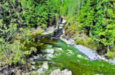 1154 Head Bay Road Jigsaw Puzzle