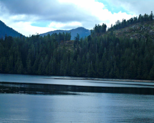 1150 Head Bay Road Jigsaw Puzzle