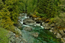1153 Head Bay Road Jigsaw Puzzle